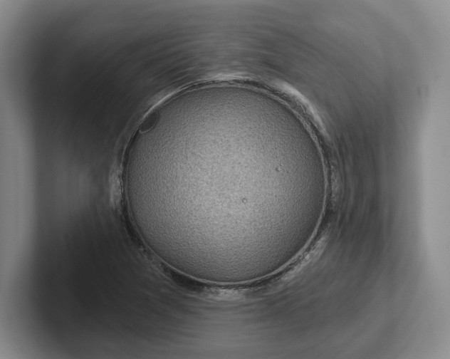 X0000102281361200808081453