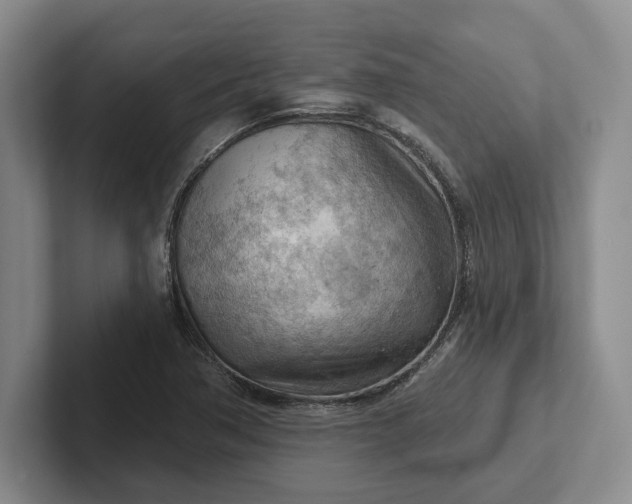 X0000102281362200808081453