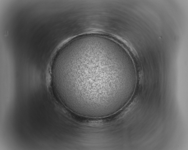 X0000102281363200808081453