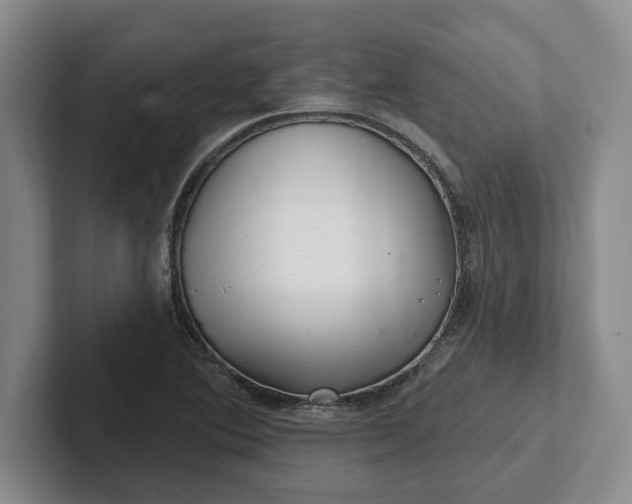 X0000102281364200808081453