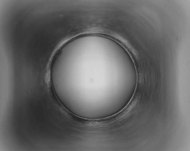 X0000102281366200808081453