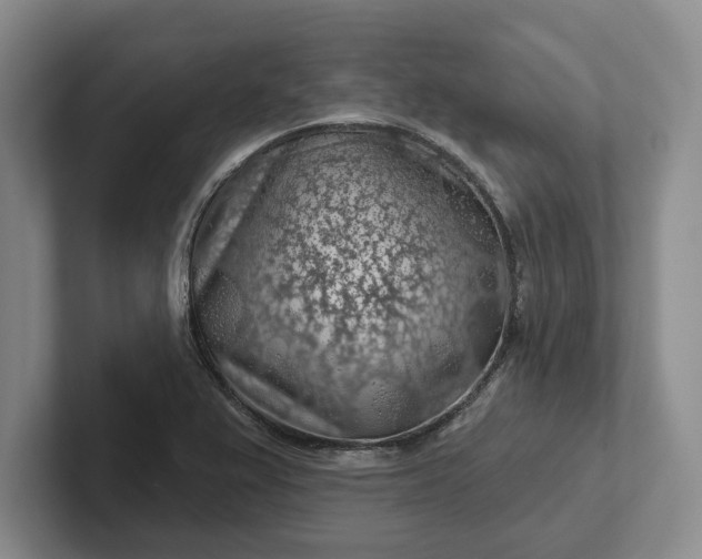 X0000102281367200808081453