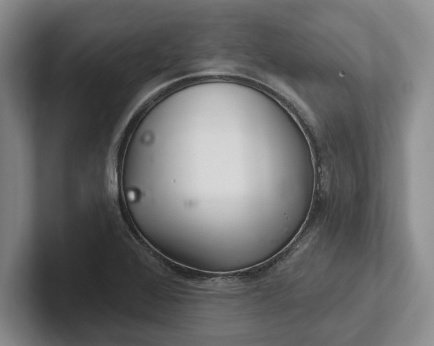 X0000102281368200808081453