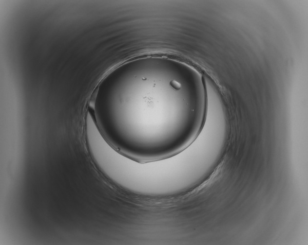 X0000102281369200808081453