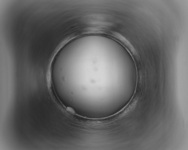 X0000102281370200808081453