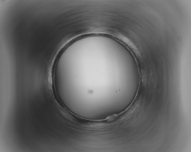 X0000102281372200808081453