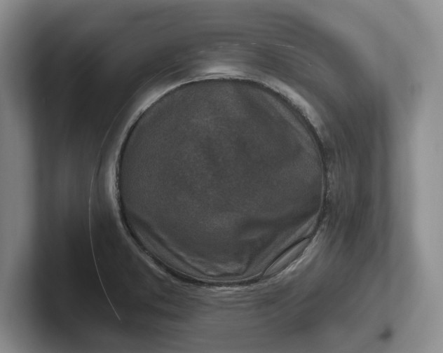 X0000102281373200808081453