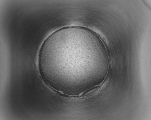 X0000102281374200808081453