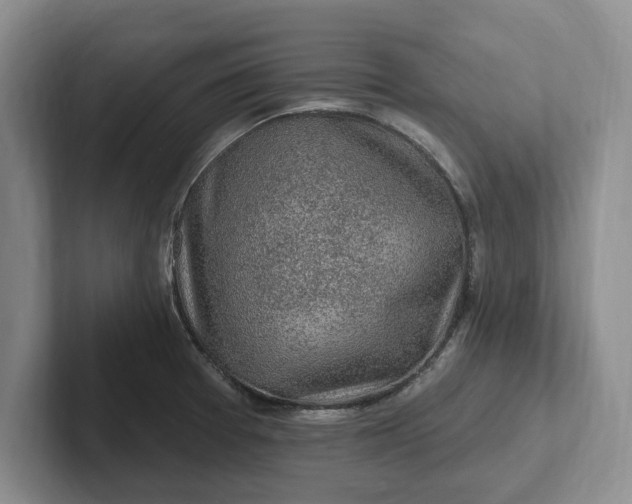 X0000102281377200808081453