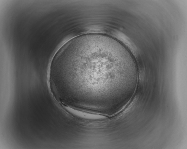 X0000102281378200808081453