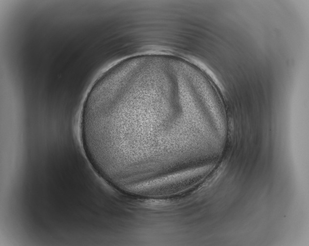 X0000102281379200808081453