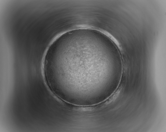 X0000102281381200808081453