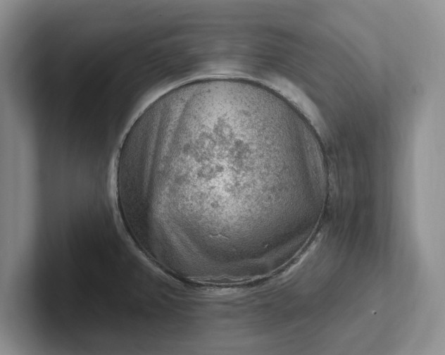 X0000102281382200808081453