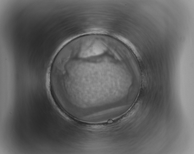 X0000102281383200808081453