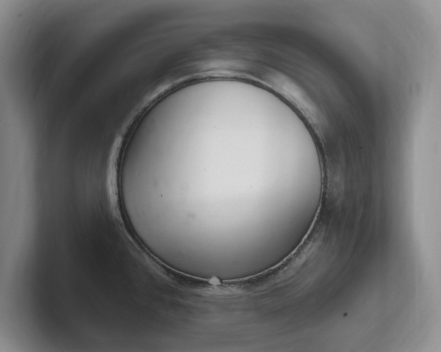 X0000102281384200808081453