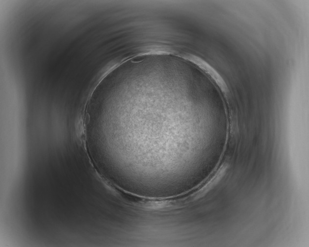 X0000102281385200808081453