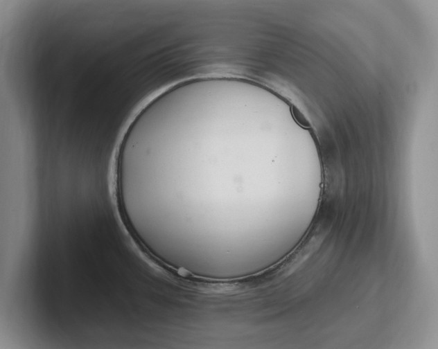 X0000102281387200808081453