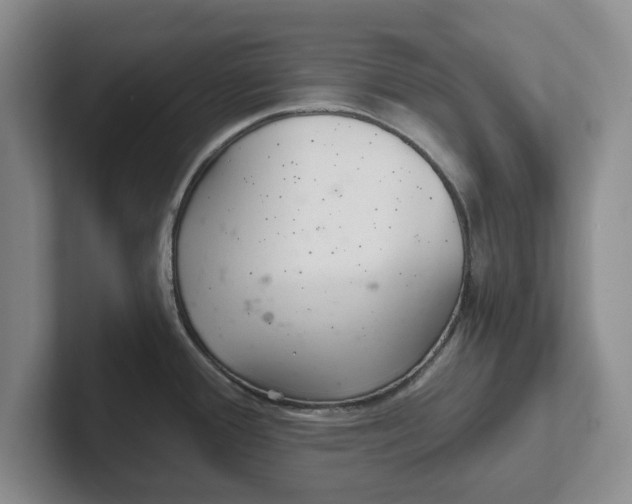 X0000102281388200808081453