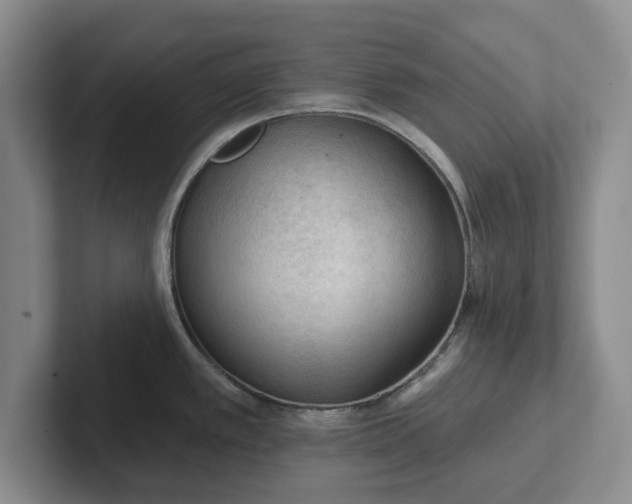 X0000102281389200808081453