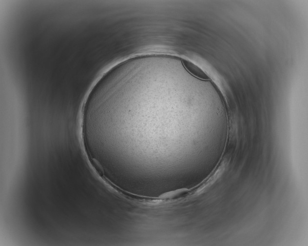 X0000102281390200808081453