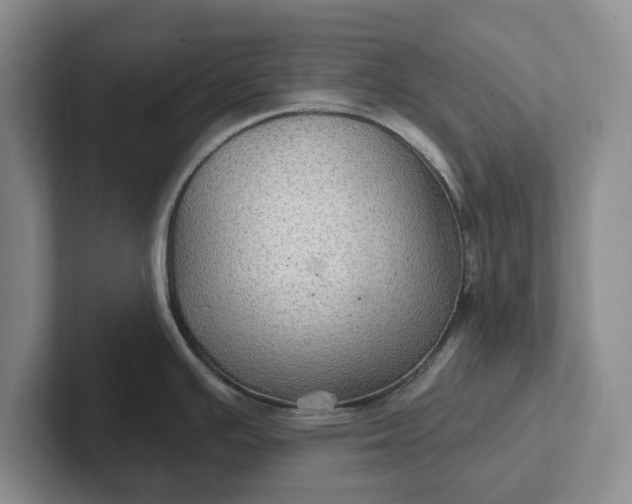 X0000102281391200808081453