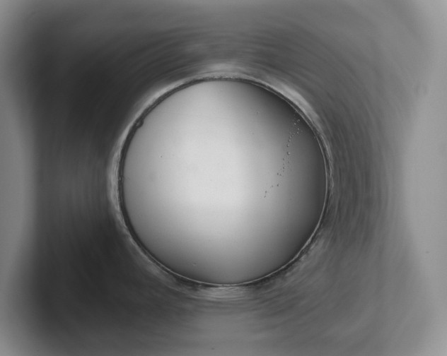 X0000102281392200808081453