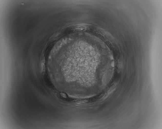 X0000102281394200808081452