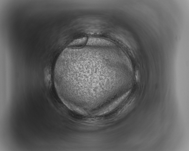 X0000102281396200808081452