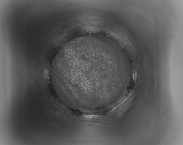 X0000102281397200808081452