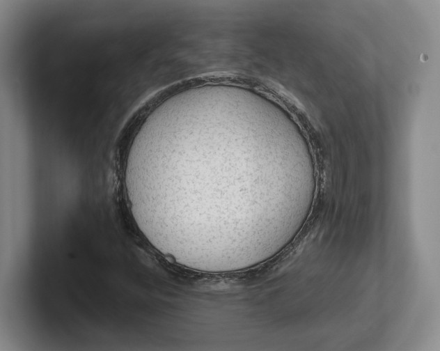 X0000102281400200808081452