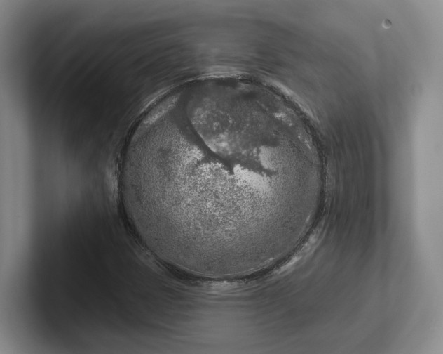 X0000102281401200808081452