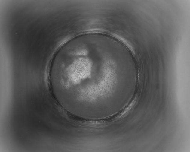 X0000102281405200808081452