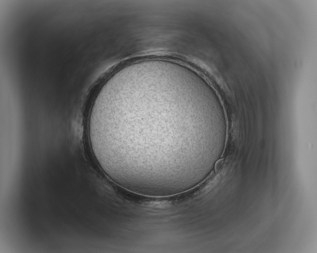 X0000102281406200808081452