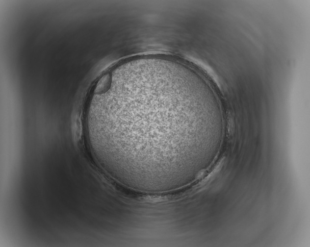 X0000102281407200808081452