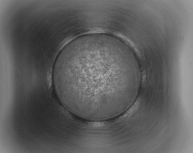 X0000102281409200808081452