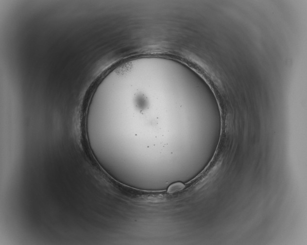 X0000102281410200808081452