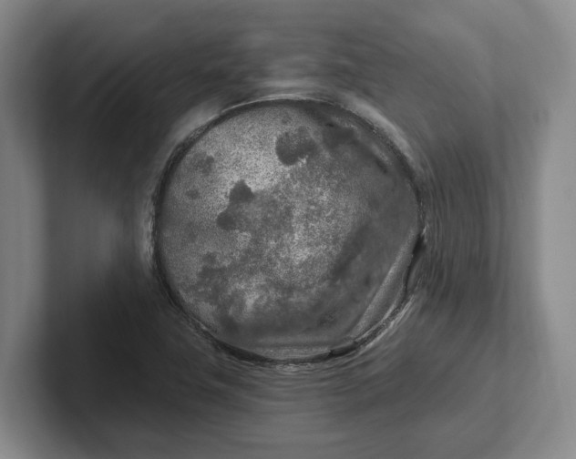 X0000102281411200808081452