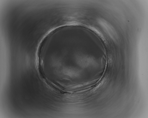 X0000102281414200808081452