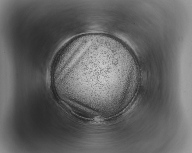 X0000102281415200808081452