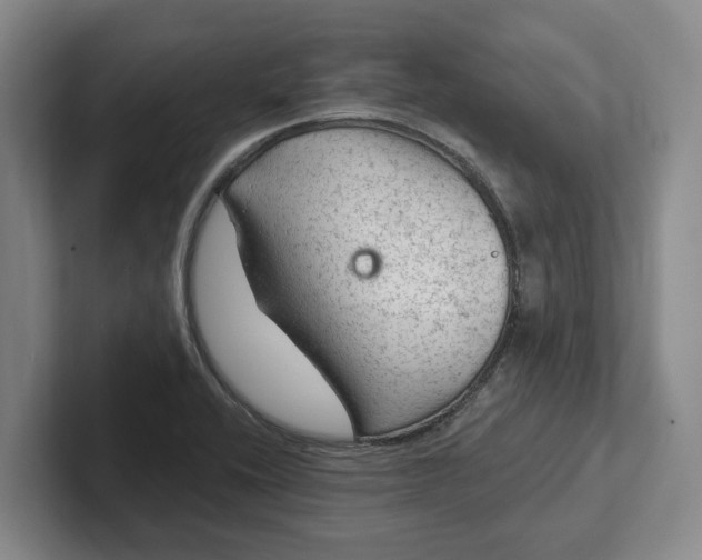 X0000102281416200808081452