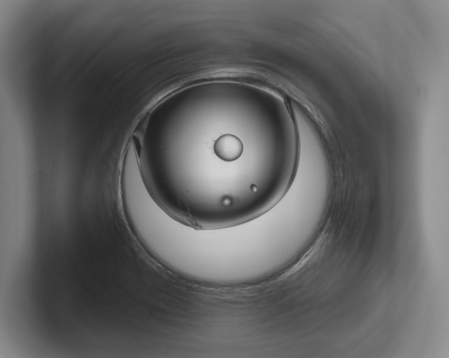 X0000102281417200808081452