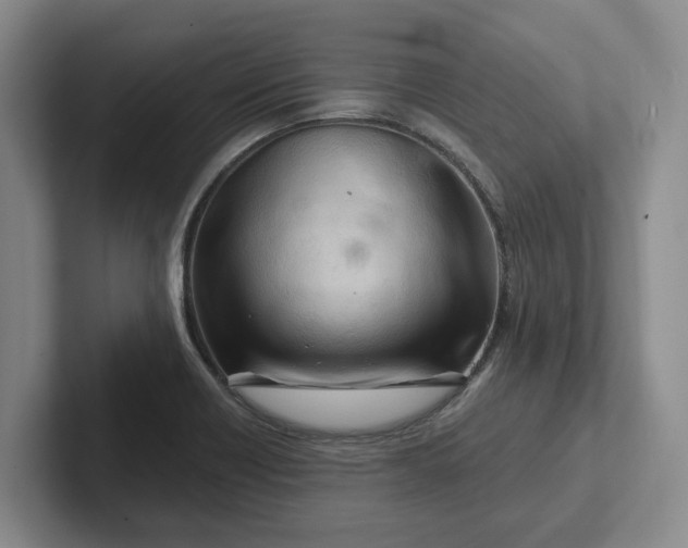 X0000102281418200808081452