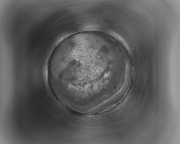 X0000102281419200808081452