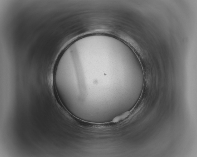 X0000102281420200808081452