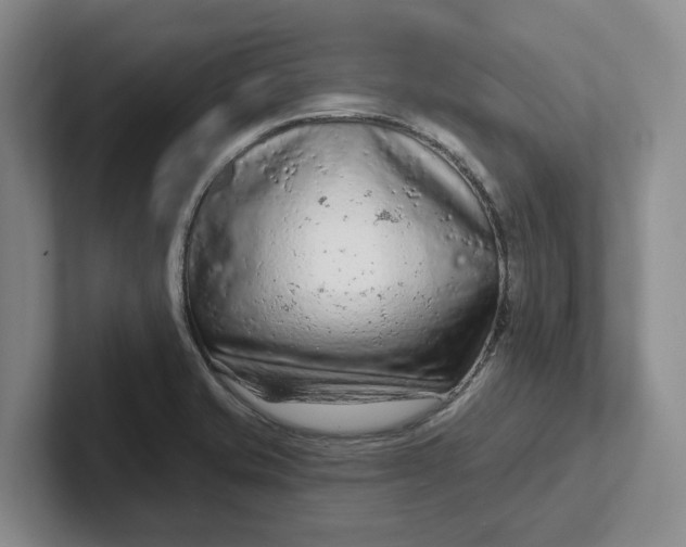 X0000102281421200808081452