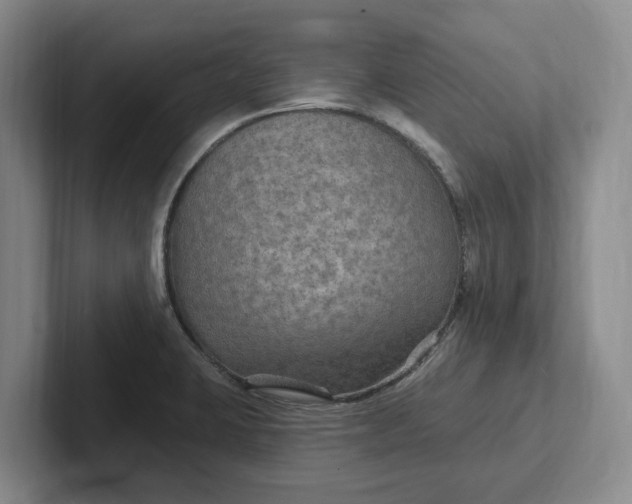 X0000102281423200808081452