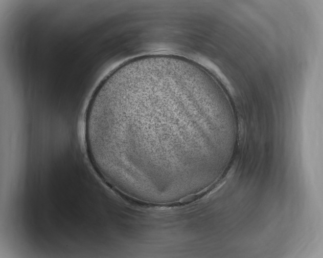 X0000102281424200808081452