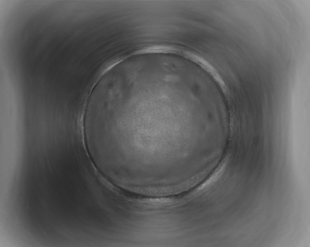 X0000102281425200808081452