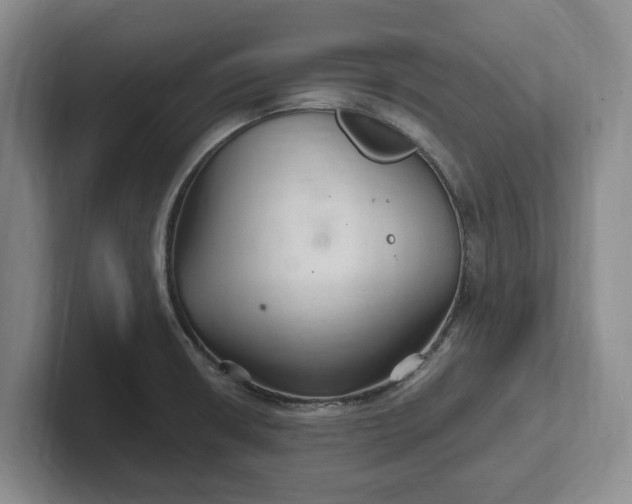 X0000102281426200808081452