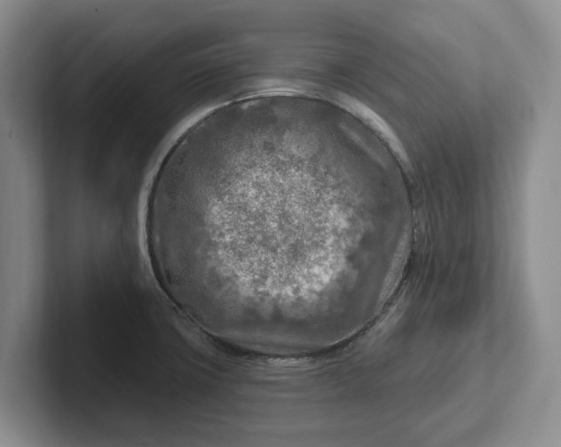 X0000102281427200808081453